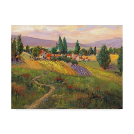 Nanette Oleson 'Vineyard Tapestry Iii' Canvas Art,35x47